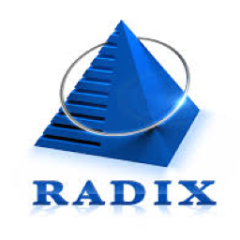 Engineering Team Lead